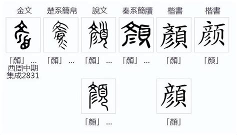 顏的造詞|顏造詞，顏字的造詞